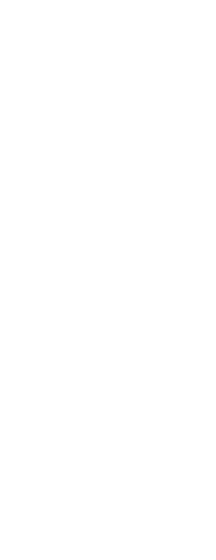 forma decorativa